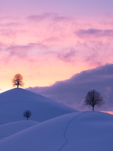 hills, winter, sunset, snow, trees, frost, wintry, cold, snow landscape, landscape, scenery, scenic, nature, clouds, sky, twilight, dusk, aesthetic wallpaper, iphone wallpaper, winter, winter, winter, winter, snow, snow, landscape, scenery, phone wallpaper, nature, aesthetic wallpaper, iphone wallpaper, iphone wallpaper, iphone wallpaper, iphone wallpaper, iphone wallpaper