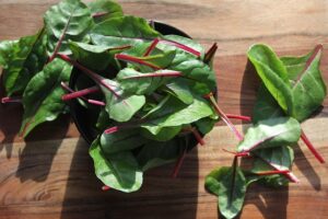 salad, green stuff, chard, dish, food, healthy, nourishment, fresh, green, red, cooking, salad, salad, salad, salad, salad, chard, food, food, cooking