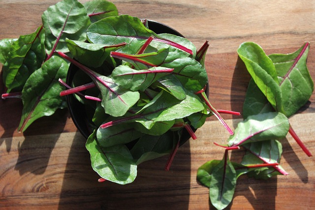 salad, green stuff, chard, dish, food, healthy, nourishment, fresh, green, red, cooking, salad, salad, salad, salad, salad, chard, food, food, cooking