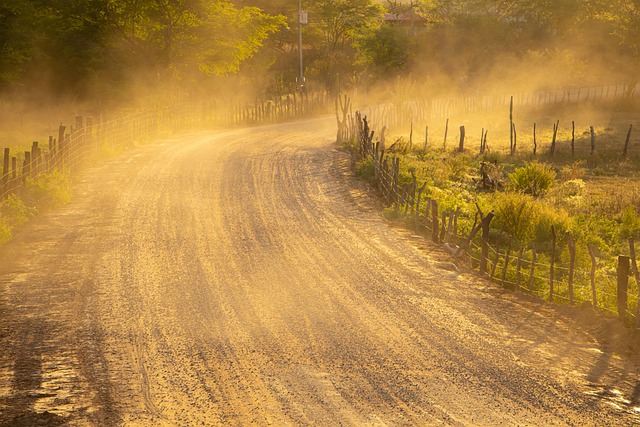 road, against light, dust, golden, woods, road, dust, dust, dust, dust, dust