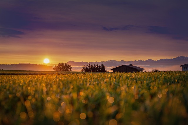 sun, sunrise, field, cabin, house, hut, morning, sky, mountains, switzerland, alpine, nature, landscape, sunrise, sunrise, sunrise, house, house, house, morning, morning, morning, morning, morning, switzerland