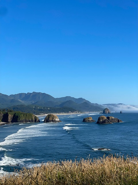 waves, ocean, beach, nature, united states of america, sea, pacific ocean