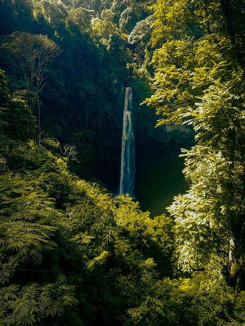 alam, trees, water, waterfall, sungai, nature, outdoors, travel, exploration, alam, alam, alam, alam, alam