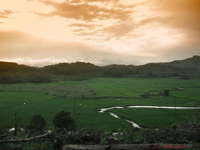pemandangan, west borneo, indonesia, landscape, wilderness, scenery, natural, wild, outdoor, environment, scenic, land, nature