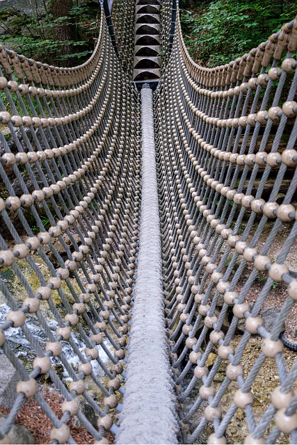 bridge, suspension bridge, hanging bridge, rope bridge, swing bridge, catenary bridge, forest, nature, rope bridge, rope bridge, rope bridge, rope bridge, rope bridge, swing bridge
