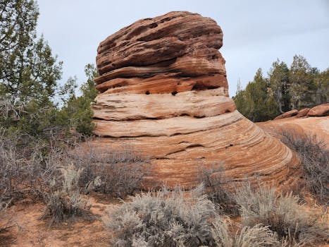 A stunning view of a sandstone hoodoo with desert flora in the American Southwest.