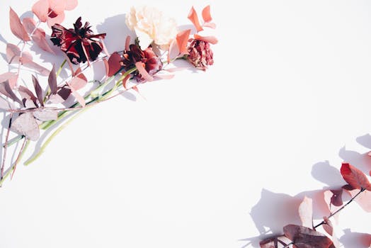 Minimalist flat lay of red and pink flowers on a white backdrop, perfect for romantic or wedding themes.