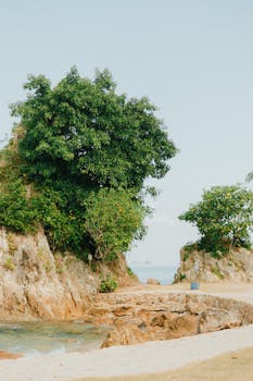 Explore the stunning rocky coast and lush greenery of Lampung's vibrant beach landscape.