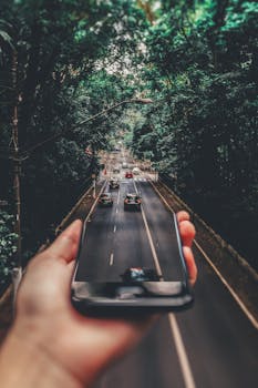 Creative blend of technology and nature with smartphone framing a bustling road through forest.